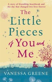 The Little Pieces of You and Me